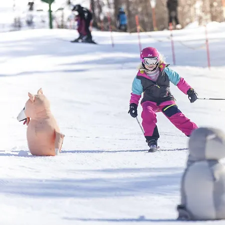 Hotel Austbø Rauland