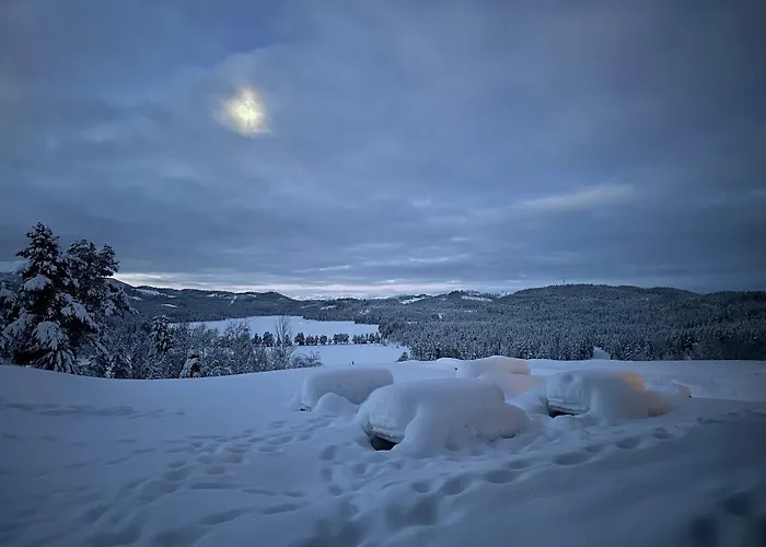 Austbo Hotel Rauland