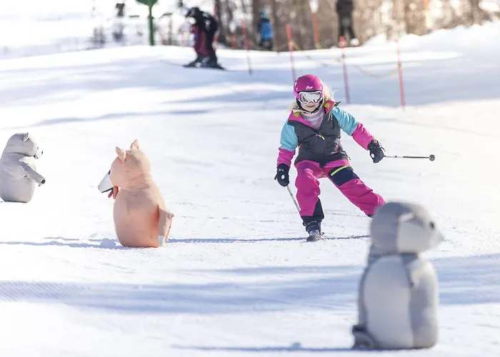 Hotel Austbo Rauland
